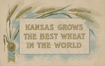 Postcard: Kansas Grows the Best Wheat In the World