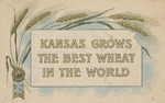 Postcard: Kansas Grows the Best Wheat in the World