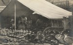 Postcard: 139. Crockery Sellers, Mexico