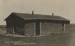 Postcard: Old Pioneer, Western Kansas Soddy