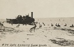 Postcard: #74 Jack Rabbits Snow Bound