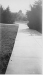 Sidewalk winding its way across the quad from the Women's Building towards the Science Hall