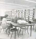 Woman Studying In Forsyth Library