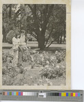Black-and-White Photograph of Couple With Their Child Walking in a Rose Garden in 1978