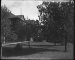 Picken Hall and Trees by Lyman Dwight Wooster