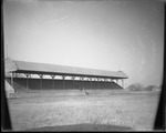Grandstand at Golden Belt Fairgrounds by Lyman Dwight Wooster