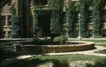 Fountain in Front of Picken Hall