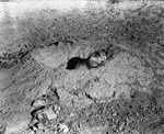 Prairie Dog in a Hole by Lyman Dwight Wooster