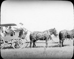 Horses Hitched to Buggy by Lyman Dwight Wooster