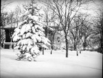 Snow at the Public Library by Lyman Dwight Wooster