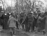 Schoolchildren Planting Tree