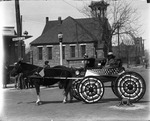 Woman in a Horse and Wagon for a Parade