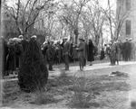 People Gathered Outside on Arbor Day by Lyman Dwight Wooster