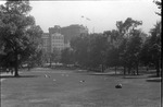 Park in Boston by Lyman Dwight Wooster