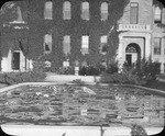 Lily Pond in Front of Picken Hall