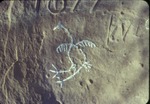 Wild Turkey Petroglyph North of Russell