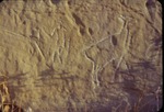 Petroglyphs Northwest of Russell: Two Hunters and a Deer by Lyman Dwight Wooster