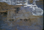 Cliff Swallow Nests in Chalk Beds by Lyman Dwight Wooster