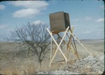 Blind for Observing Great Horned Owls by Lyman Dwight Wooster